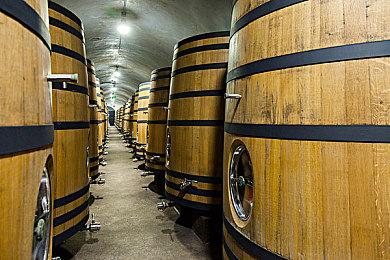 《光环：无限》玩家人数超过3000万